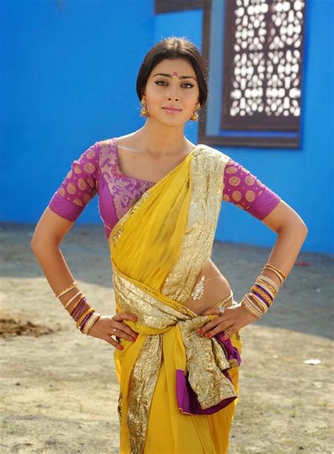 shreya saran saree|Shriya Saran Latest Photoshoot .